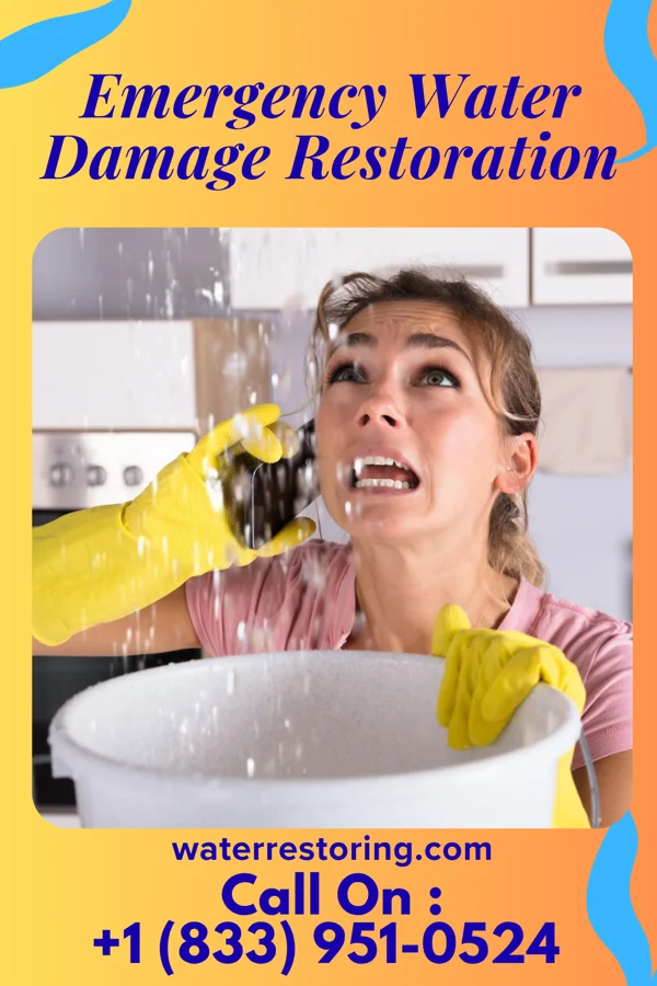 Emergency Water Damage Restoration in Lamar, SC
