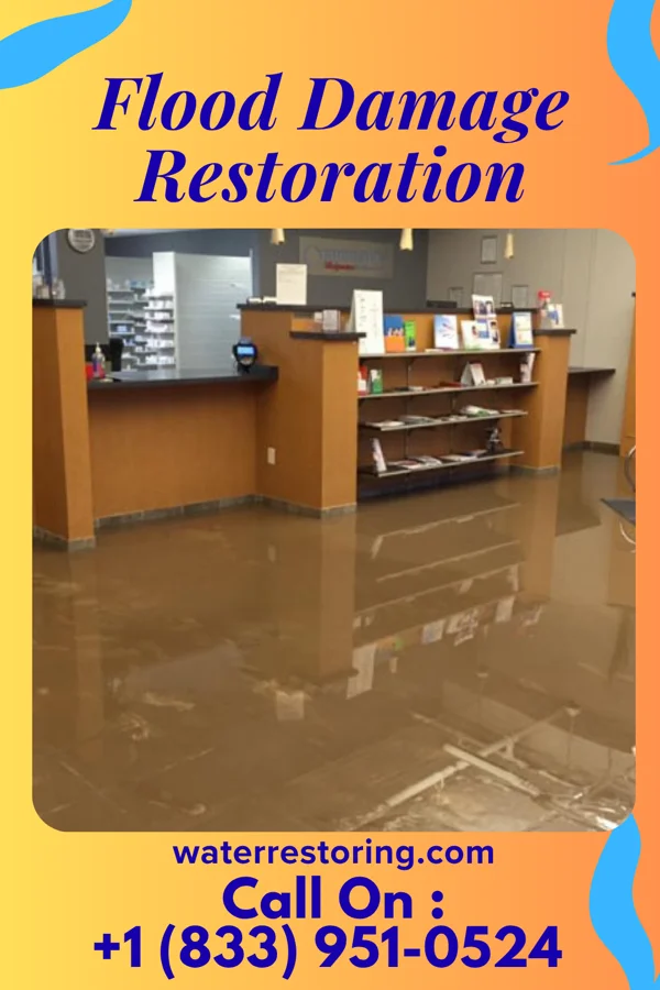 Flood Damage Restoration in Lamar, SC