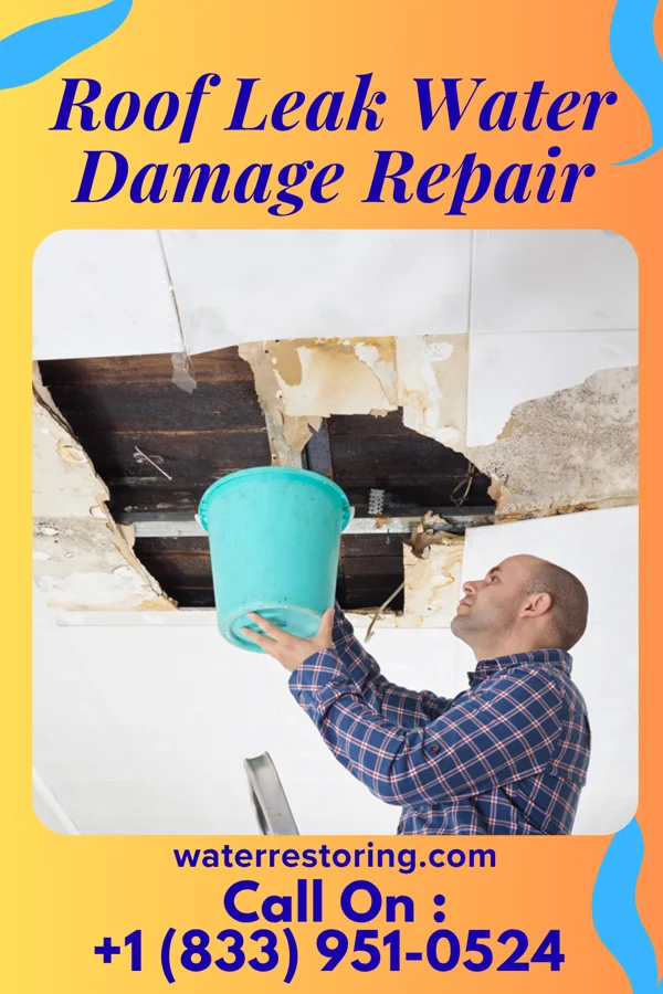 Roof Leak Water Damage Repair in Lamar, SC