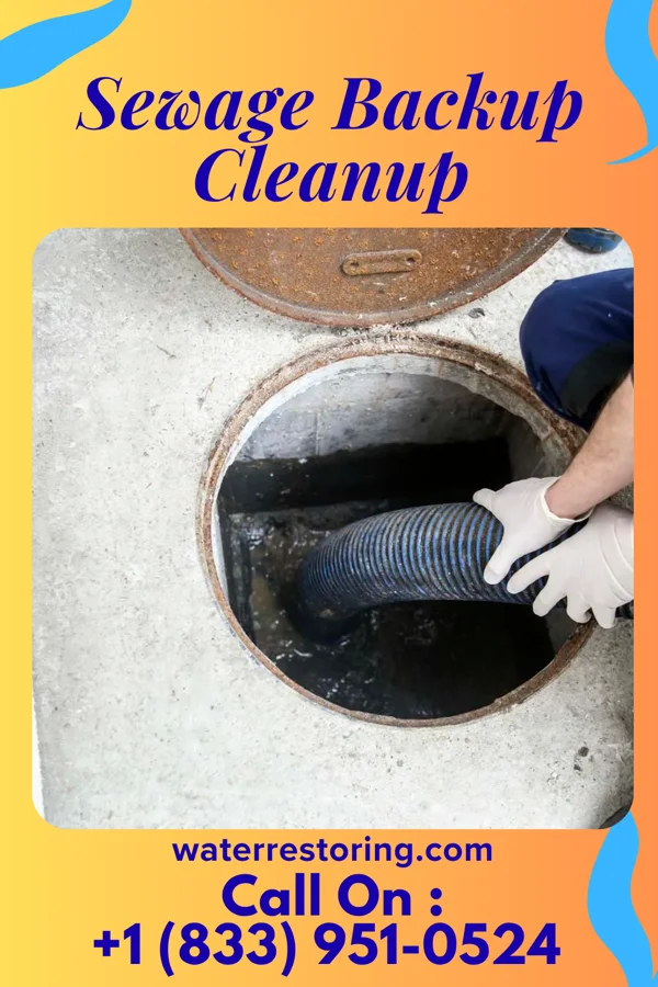 Sewage Backup Cleanup in Lamar, SC